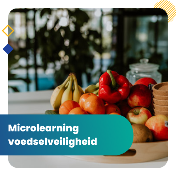 Voorbeeld microlearning in de zorg